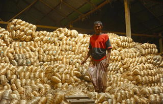孟加拉國的自然條件并不算差,為何會如此貧窮