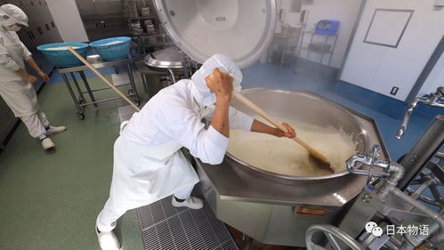 日本的孩子不吃盒飯,來看看日本的食品加工廠,是如何制作中小學(xué)生午餐的