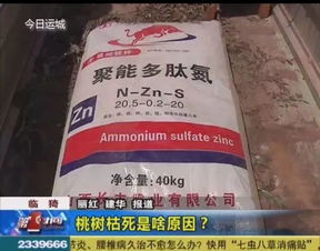 數(shù)百畝桃樹干枯死亡啥原因 這樣的肥料別買了
